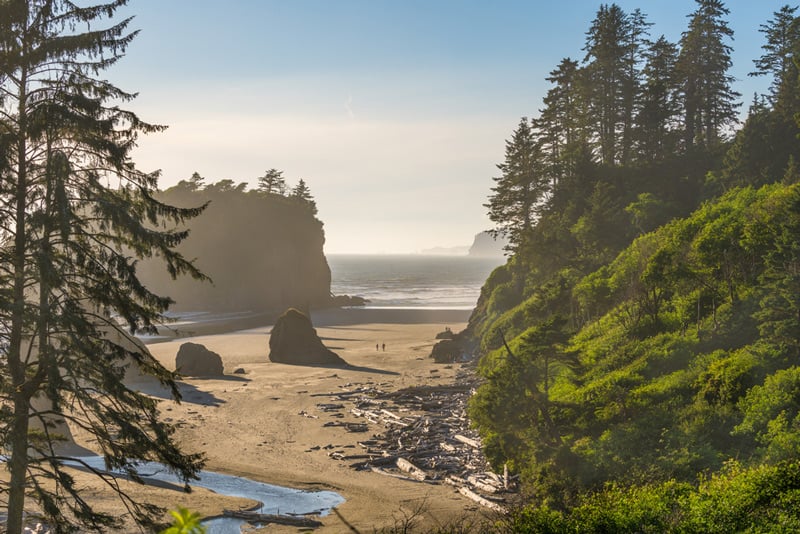 ruby beach at olympic national park in washington