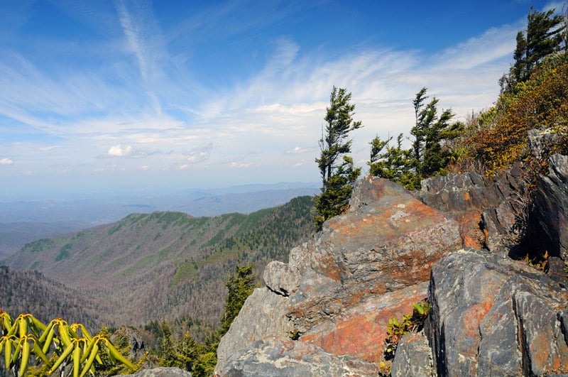 appalachian hiking trail in the new hampshire white mountains