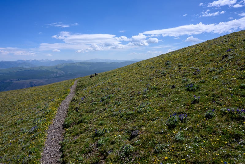 biking trail that weaves through the mountains in yellowstone national park