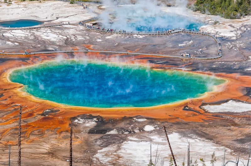 gyser and hydrothermal pool in yellowstone national park