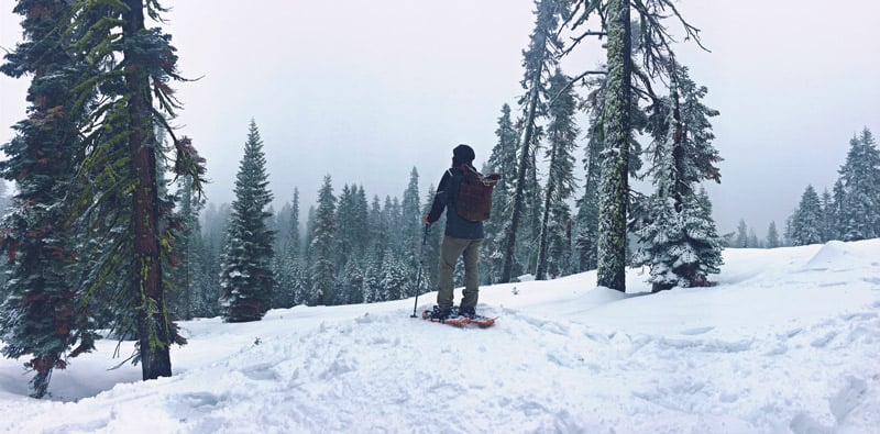 snowshoeing in yosemite national park in the winter