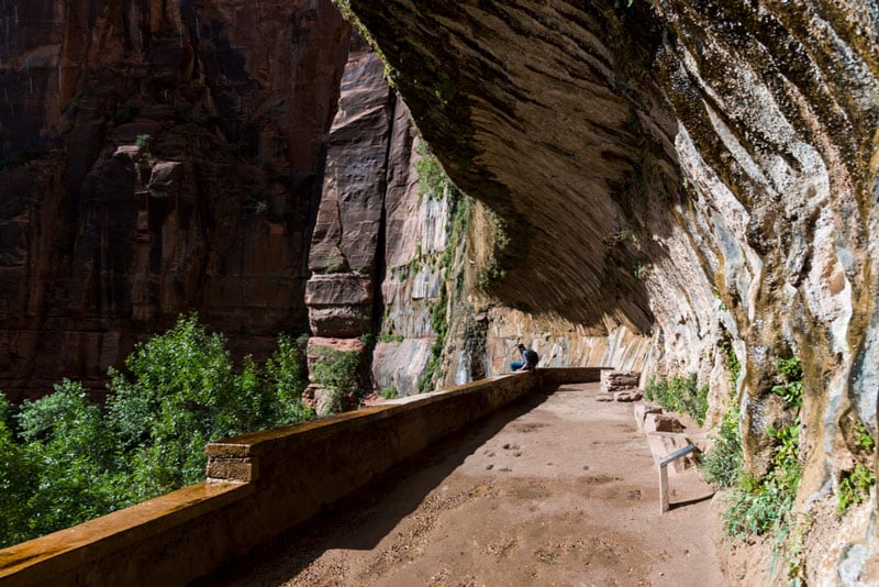 weeping rock day hiking trail in zion national park