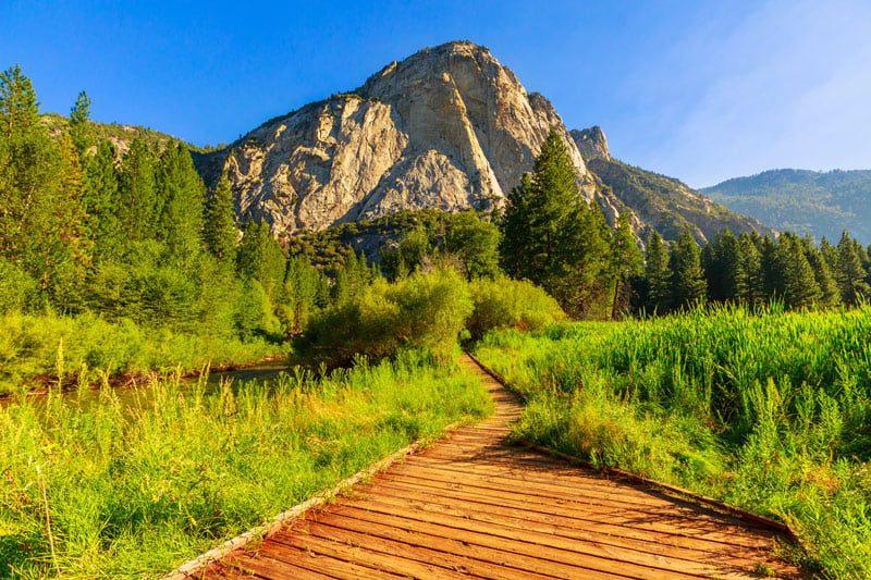 boardwalk hiking trail in zumwalt meadow kings canyon national park